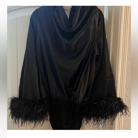 Gorgeous Feather-trimmed Long Sleeve Black Dressy Blouse - Picture 2 of 8